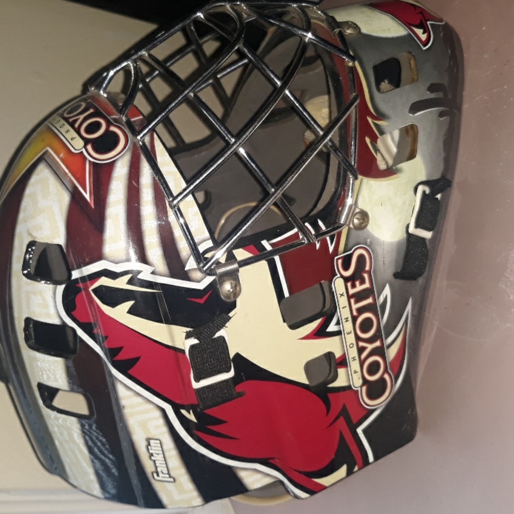 Goalie Helmet